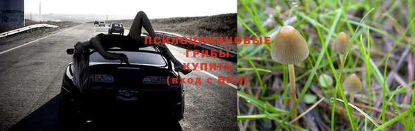 амф Бежецк