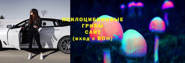 амф Бежецк